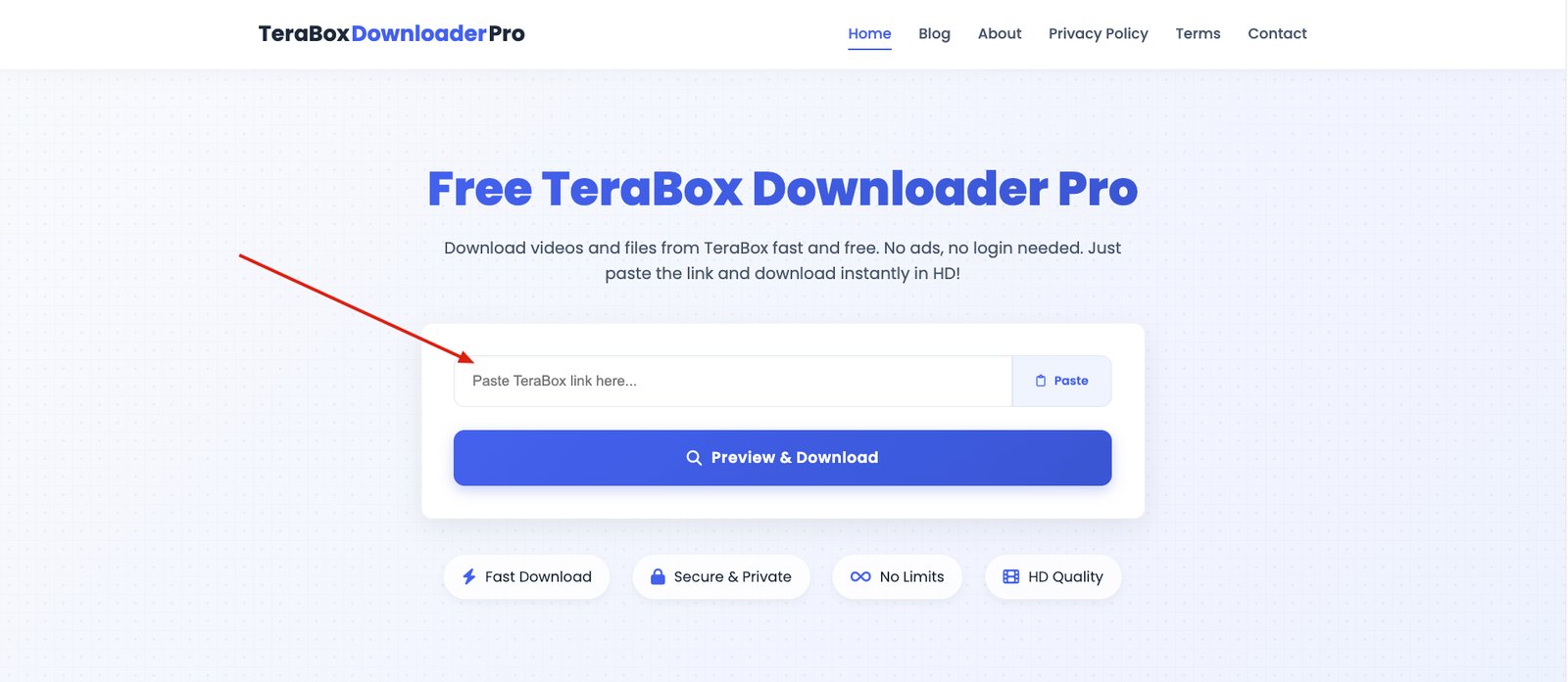 Paste TeraBox Link